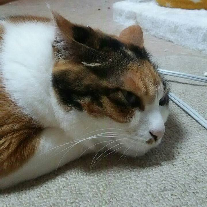 3ea702c8 31c7 496f 979f 7ec5dcbeea2f