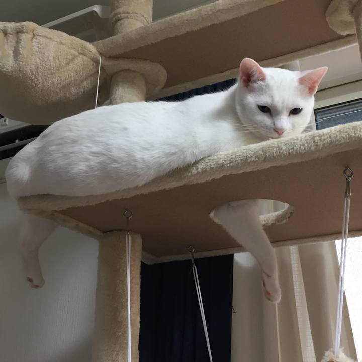 3ea70b09 962a 430c 8dd3 dffad52bbc2f