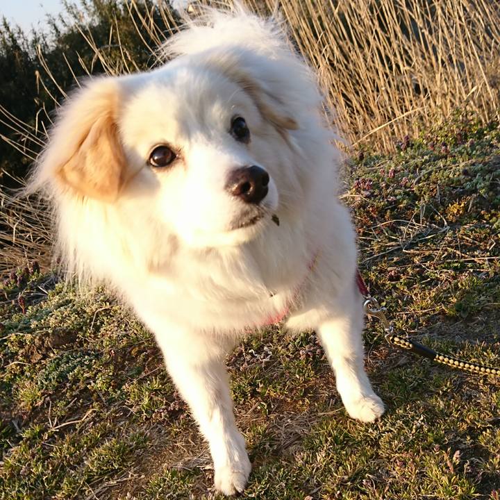 3ea72d64 d03a 43f0 abb4 cc3eb90e1966