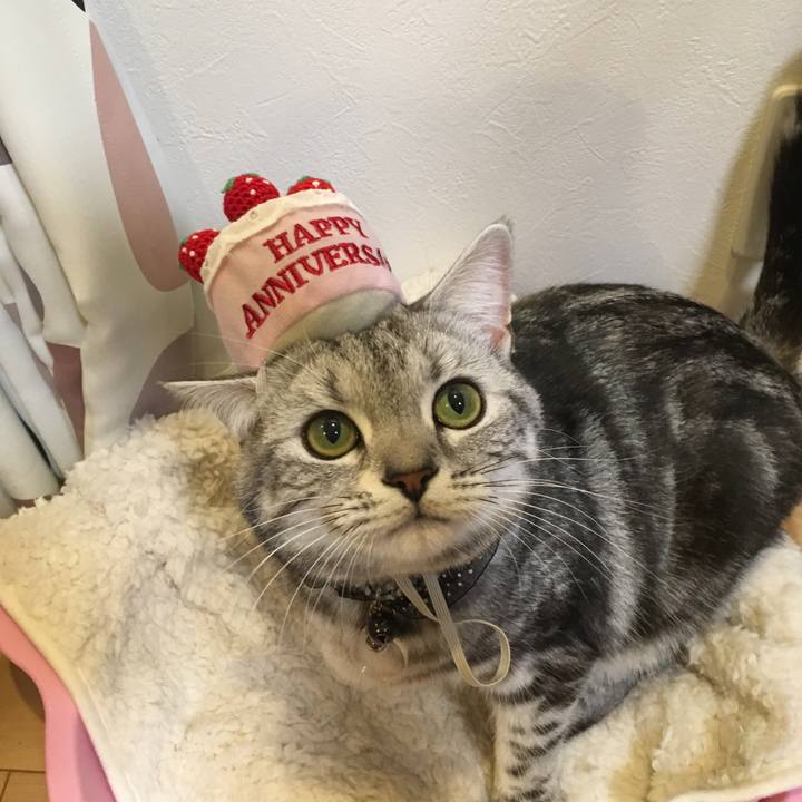 3ea764c0 2af5 4d50 9771 9ffa925b2f21