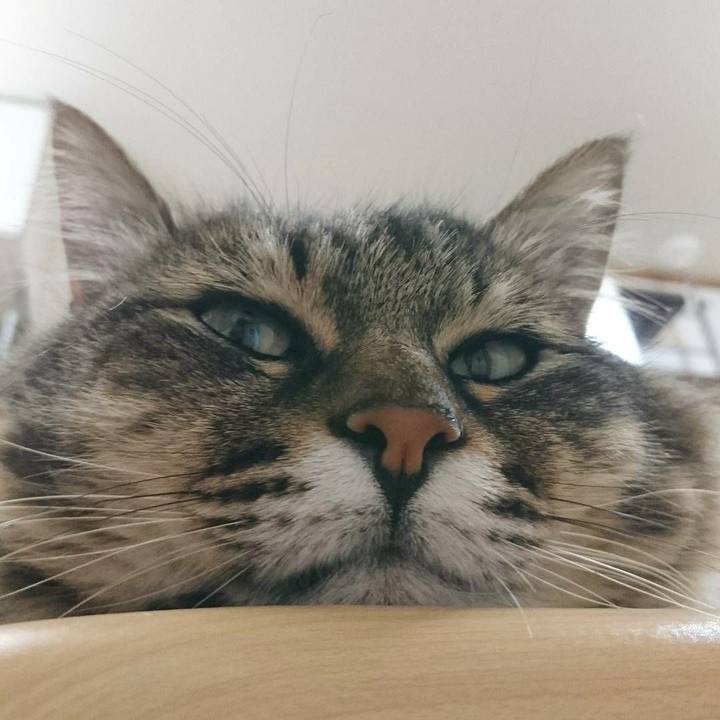 3ea7a202 0213 4560 8c92 e4a388f83ada