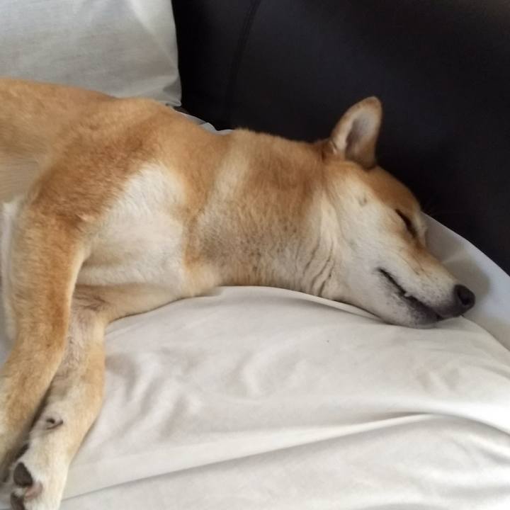 3ea7fb46 0e5d 421f adad e5b5de94cdaf