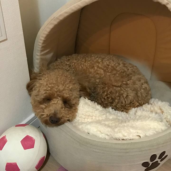 3ea85baa b988 4a14 8024 3a885471f719