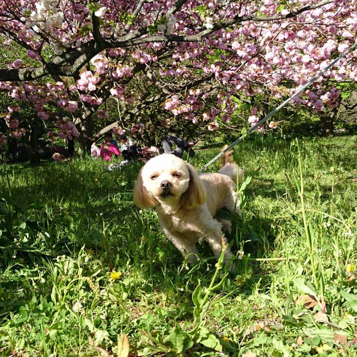 3ea85e7d 66ac 4ba5 af84 067783f42f7f