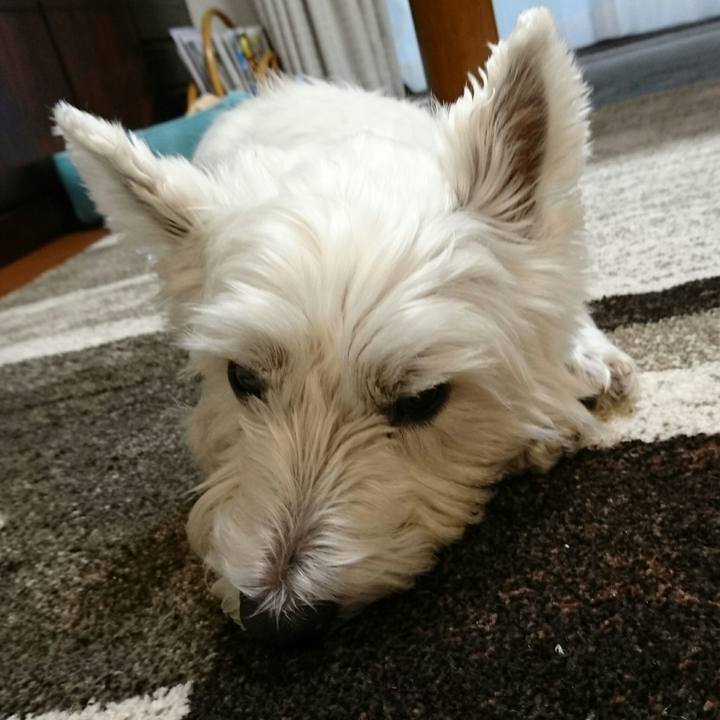 3ea94e2e d2f2 497a 8276 0bd60e20792f