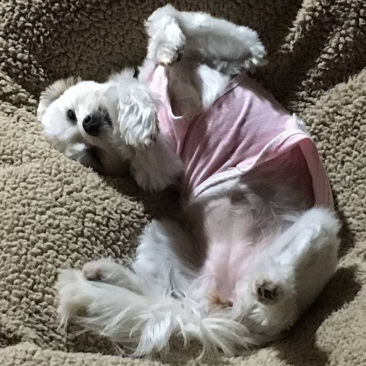 3eaa24d9 e468 4997 9073 fbb65e43d649