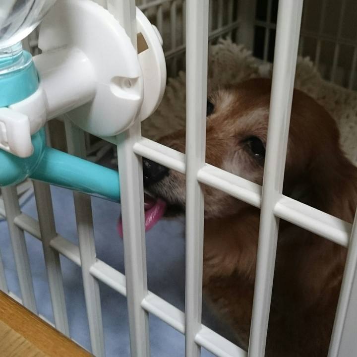 3eab253c 212f 4c7e b840 4a9e479a34c5