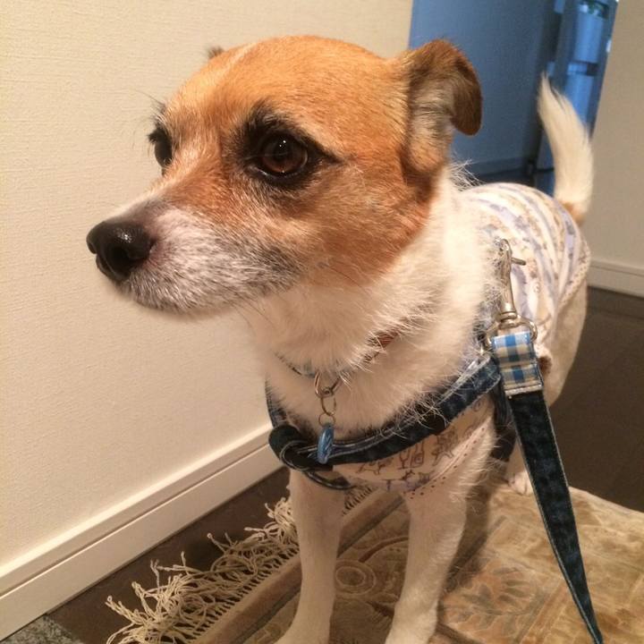 3eab2dd2 bedd 4e70 86e6 8c16e6dfb2a2