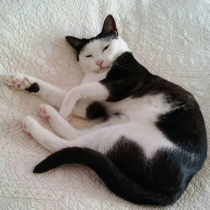 3eab3ba9 5399 4f6d b9f9 5237af4eadc9