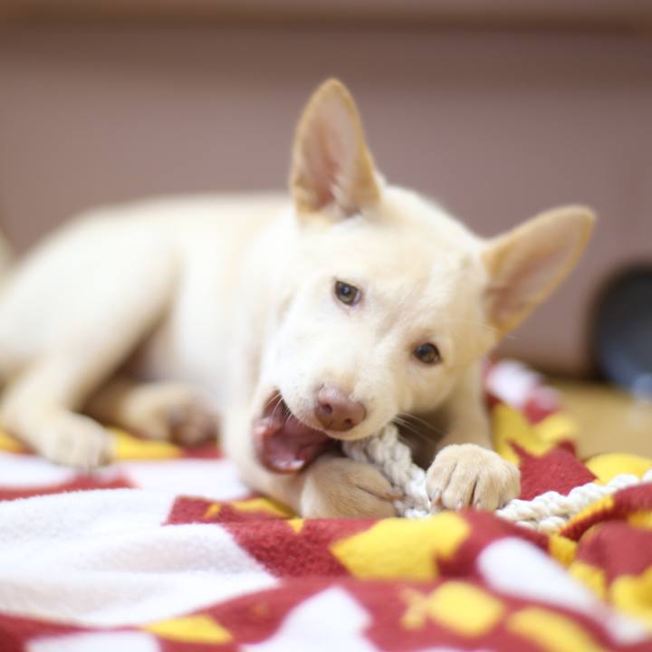 3eabdcd5 a4d0 4227 b592 4ed172776c1e