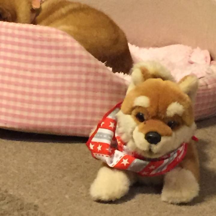 3eacea0d 2c99 4183 b690 ee8144418c7c