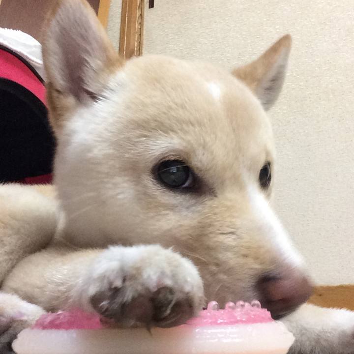 3ead0097 c114 4ce0 8bc0 00076b11a58f