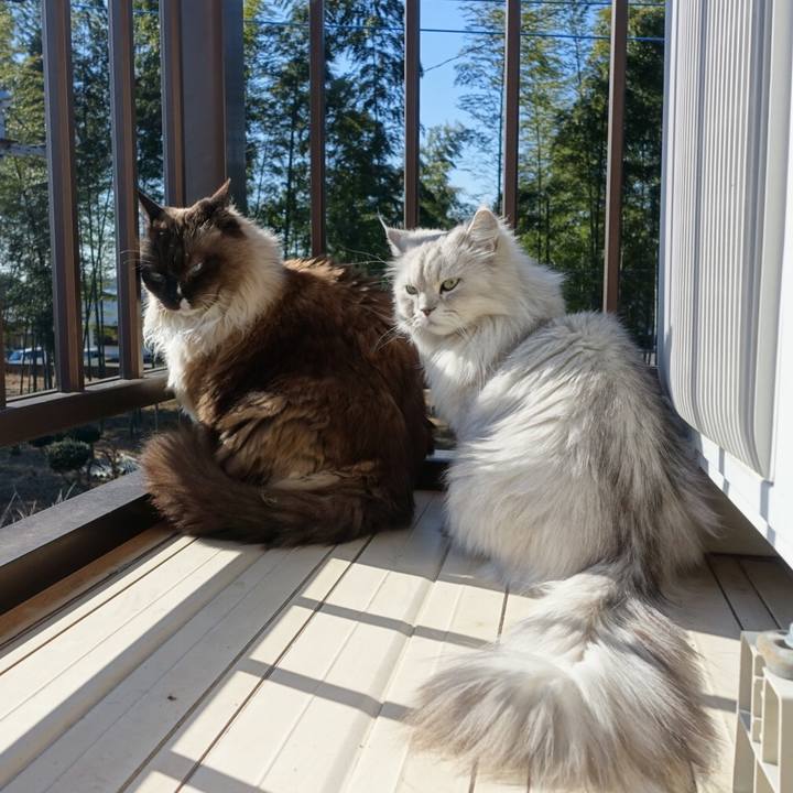 3eadba7e aef7 4a04 b329 b45fe9d008a9