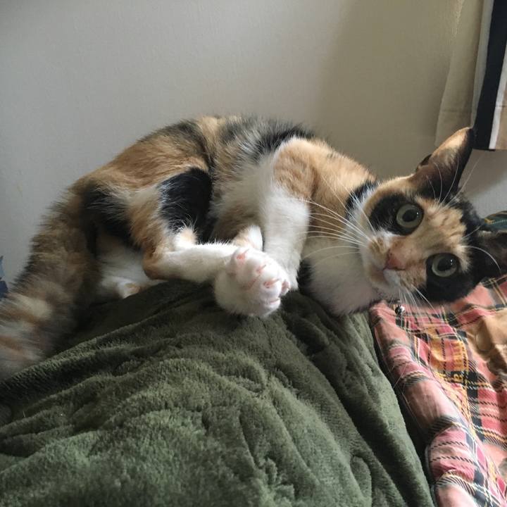 3eadf44a ebf5 45c4 a335 650b2cf2e8fb