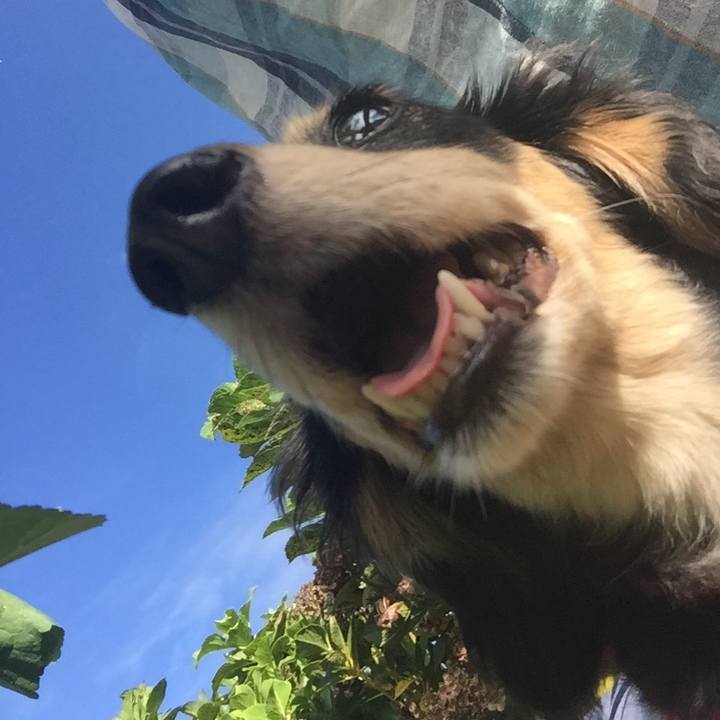 3eae0b88 d834 45ce 8ee5 1b9c03b8538d