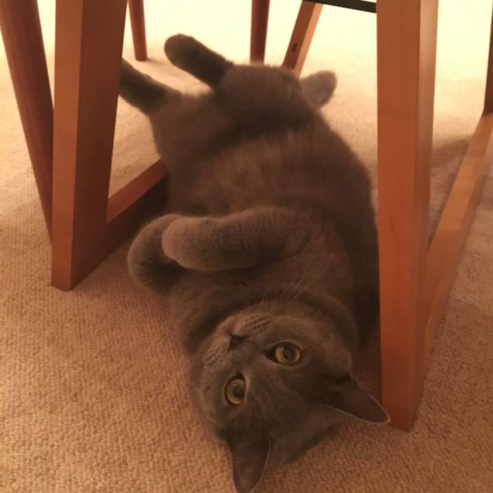 3eae7b5b 1a3d 4615 90eb 9f1e57f1c834