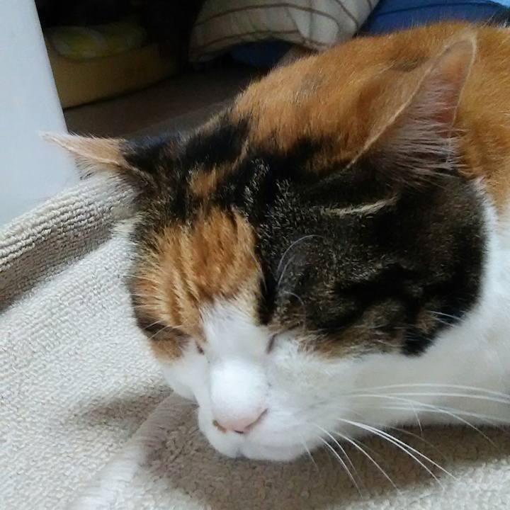 3eaed506 fa59 4c6e 8cb8 a874de3b7ecd