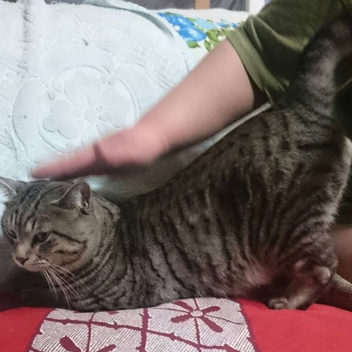 3eaf8f80 e3d7 4f7d ab64 ce445cb88f23