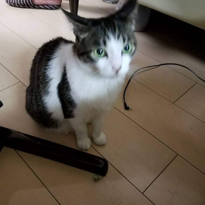 3eafe178 cfeb 4403 8fb3 92302c30cccc