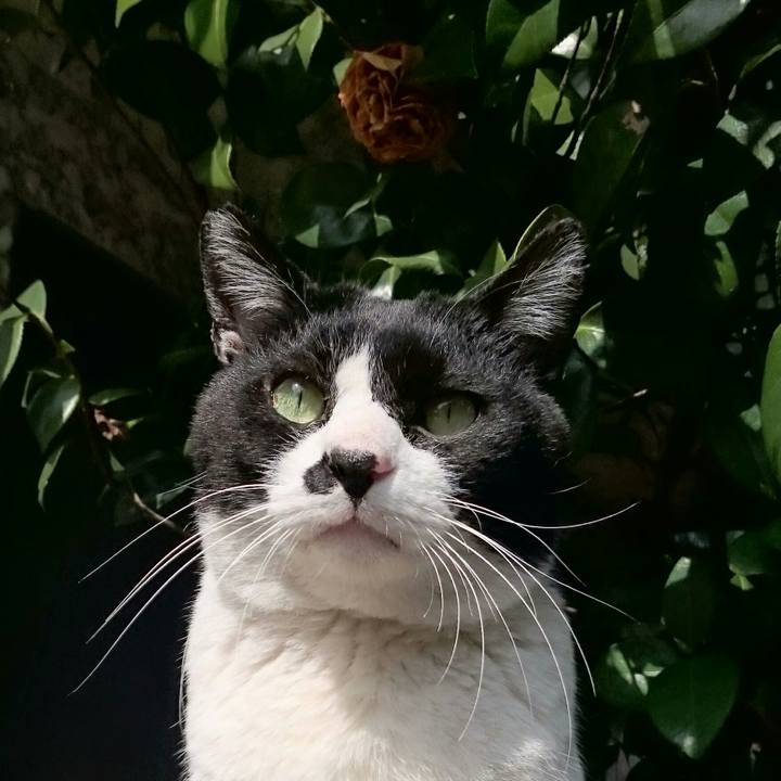 3eb13a4f 6069 4bc0 9c4c be02d482bdb0