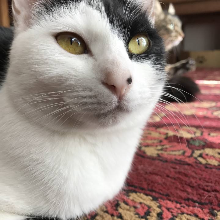 3eb28316 0803 43a2 a101 4d6d877c5635