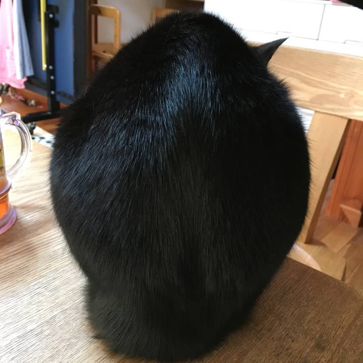 3eb2892e 2b8e 441f 960d 3f371c067b3d