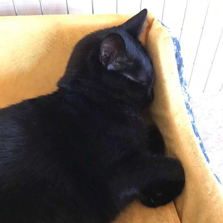 3eb30efe 95cd 445e aed4 15f54713754d