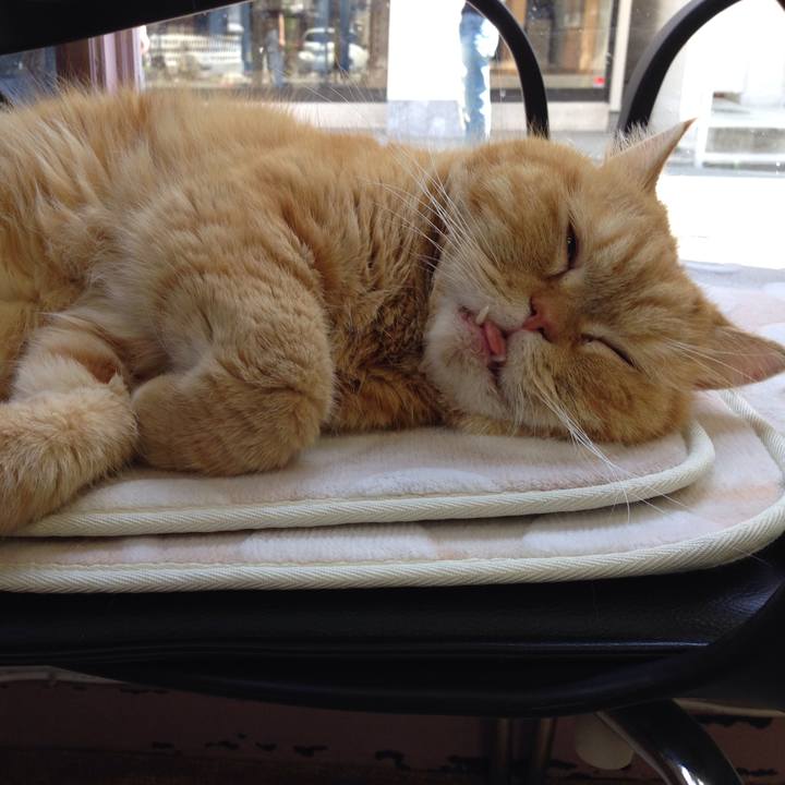 3eb31ee1 cfa7 4999 a726 6430d80886c4