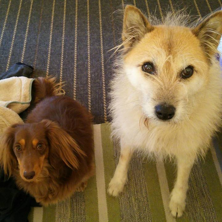 3eb3f32e d875 4188 a9e5 ff2fc88f5f03