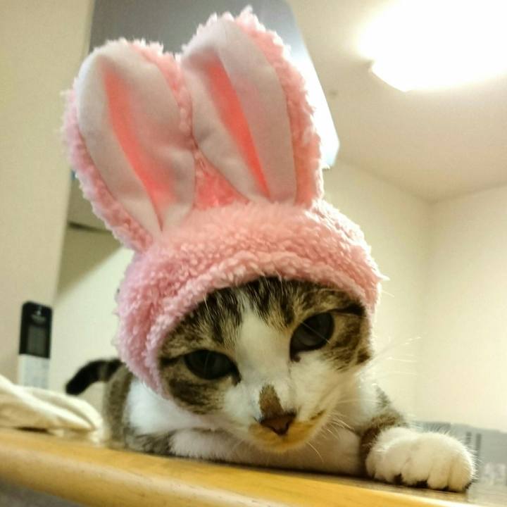 3eb4453e 2978 4c6c 80f1 5925ae05a5ec