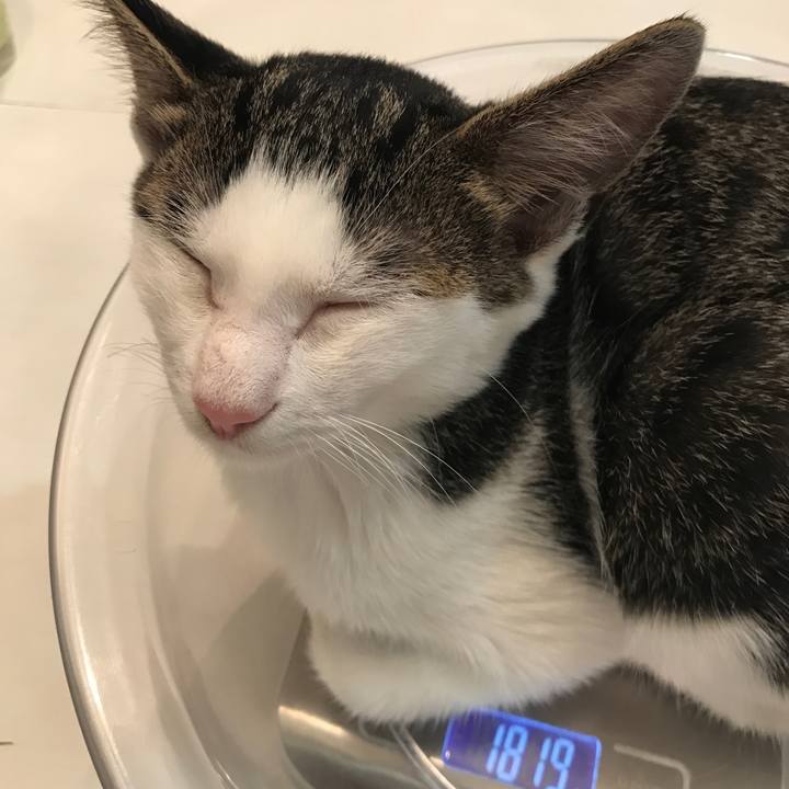 3eb4e172 d40e 4623 8bb7 6b320392d888