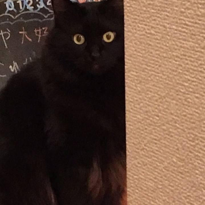 3eb4e2da ddc5 4fe1 ab98 86851080ecf3