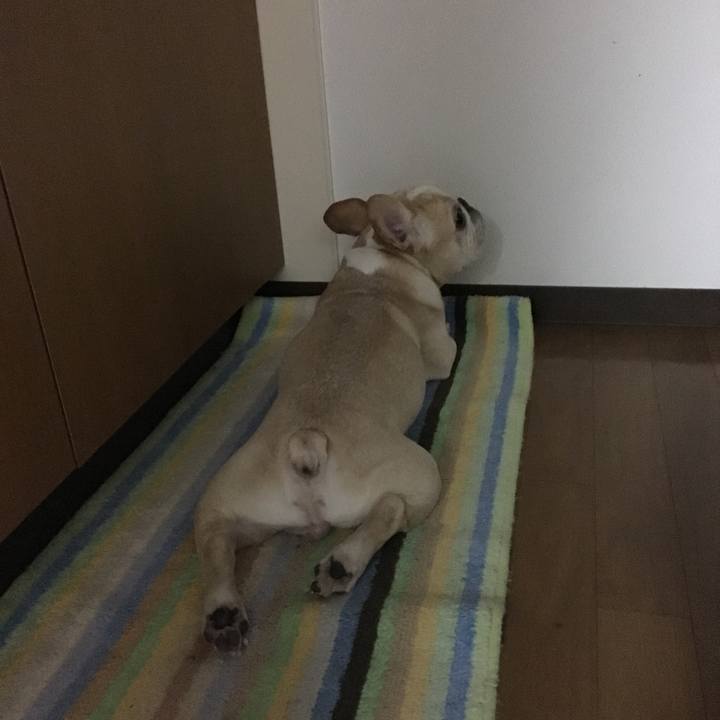 3eb577e2 b6a2 4eca a14b 3adf1c737eed