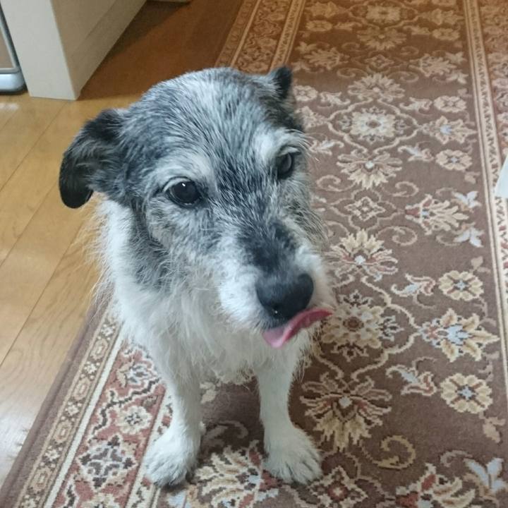 3eb58a99 5193 4f05 b550 7b266c8fa6ff