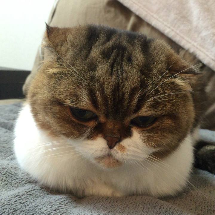 3eb62aea 0f1f 4765 bfb4 77e0b76615df