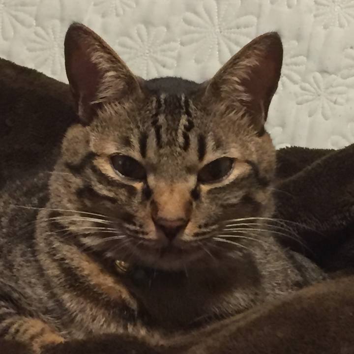 3eb65b36 3d9d 4d0a a4a0 41091449ba89