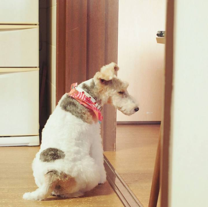 3eb6756f 2bf5 401e 844e e017a2d1cbe9