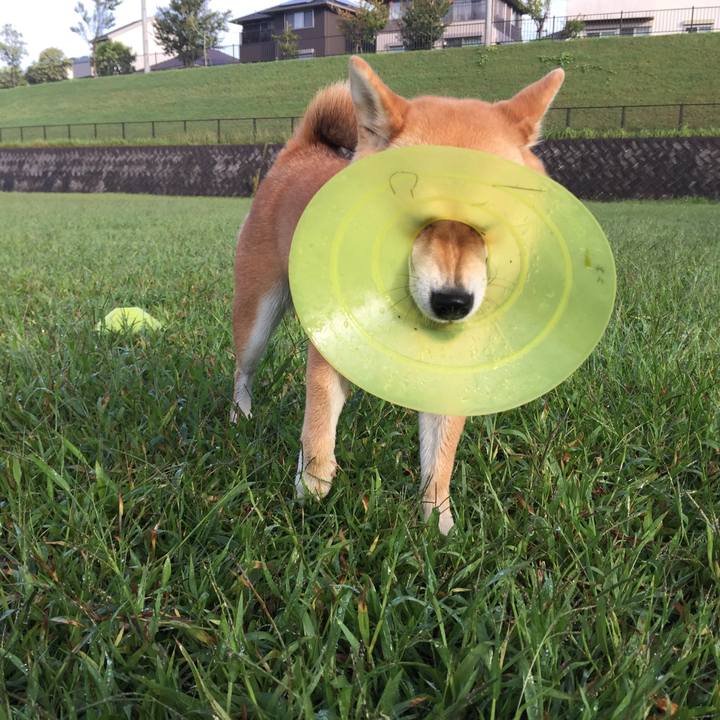 3eb69985 926d 4228 94dc 8e9c29d60cf5