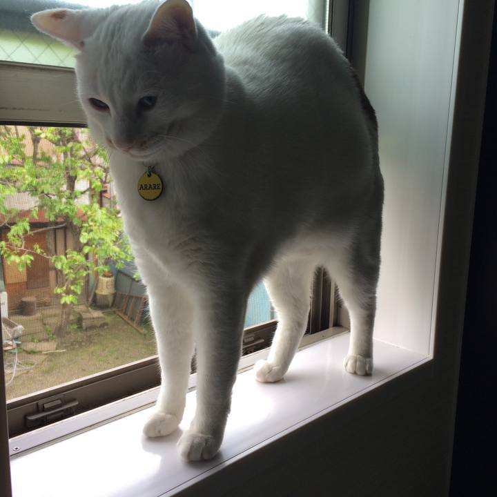 3eb6a631 f352 4801 b999 5f09fbdf9003