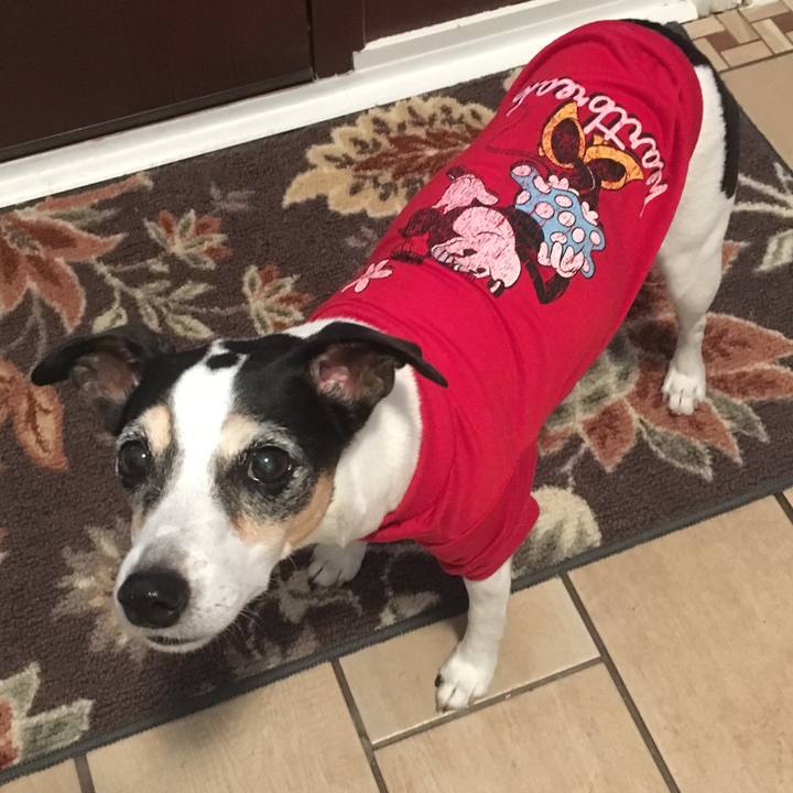 3eb6b8d8 2538 4cdb a8d0 acbbc397a3ae