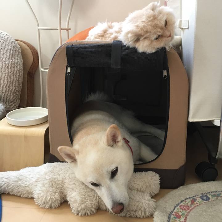 3eb6b9de a93e 4067 ae67 08a4e91d5aa3