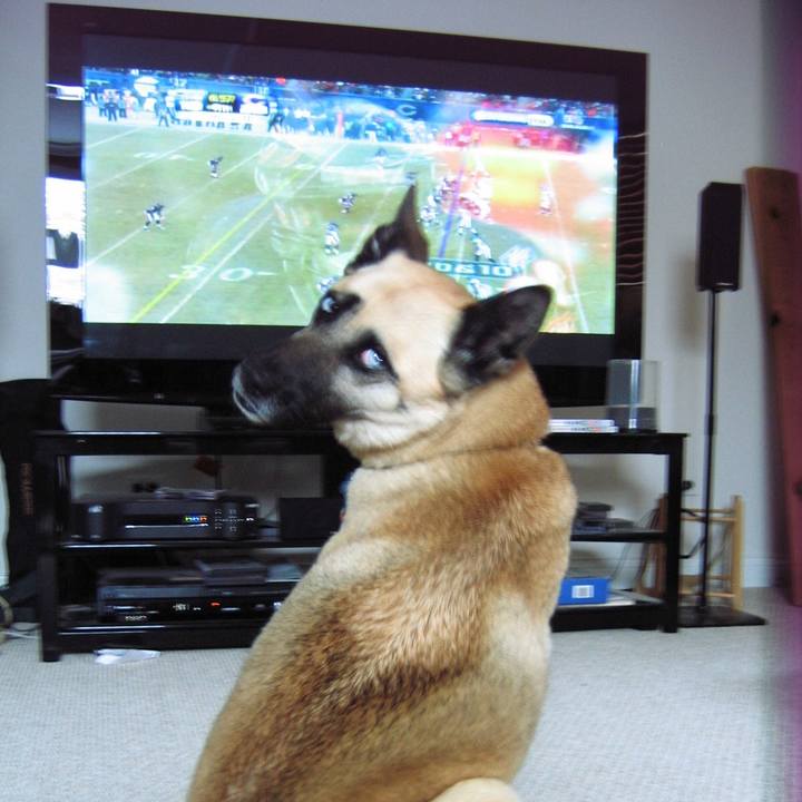 3eb6de5e 1c36 4c36 8a72 e553270ea378