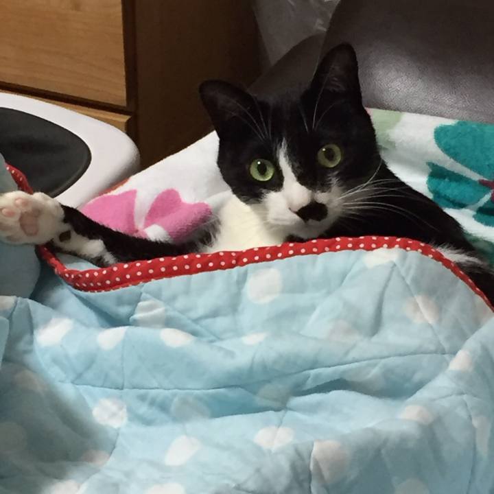 3eb6fa36 3d3f 490e bd56 5f96a07653bc