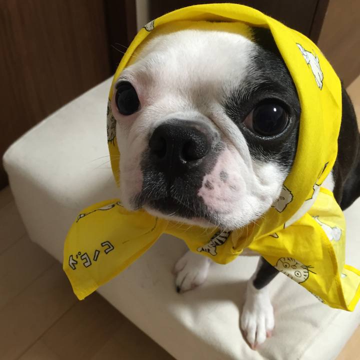 3eb6ff40 35ec 40ef a185 42c13c9214ff