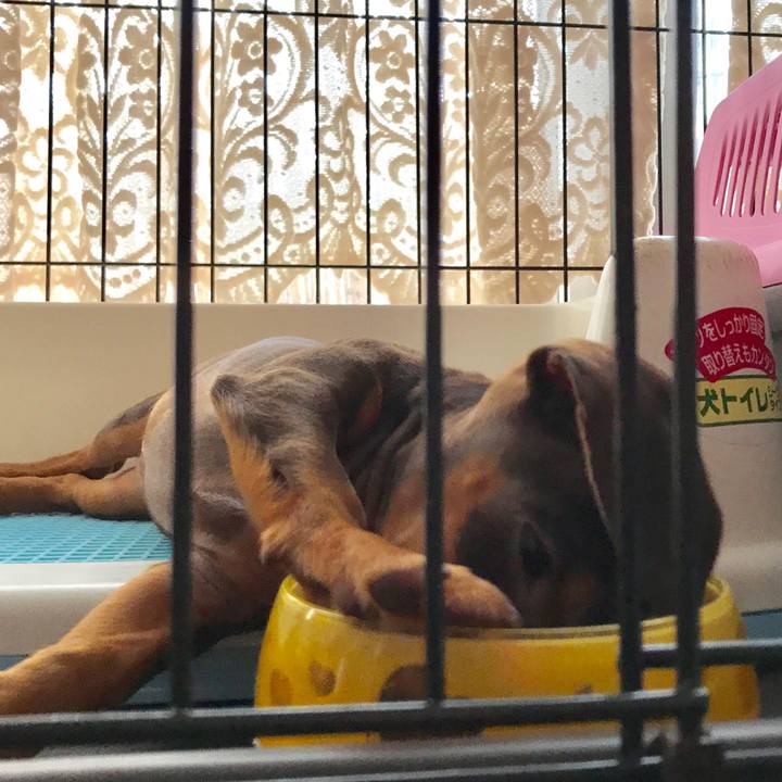 3eb7951a 12b6 48ba 9b77 302fb07618b2