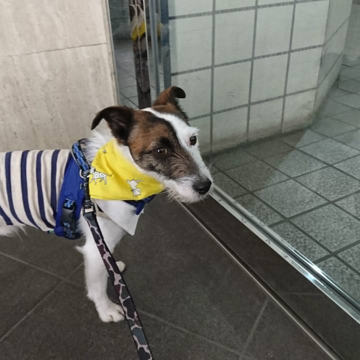 3eb7a0a7 197b 4197 ba5b 3f3570b8f226