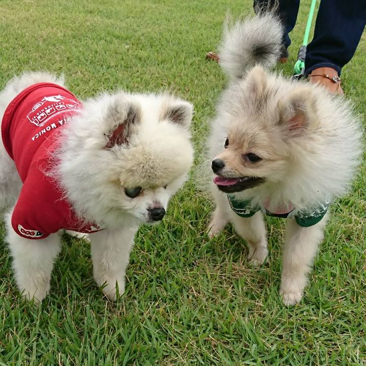 3eb91fb2 1ca5 4a26 b941 ef6a7b9d4f8f