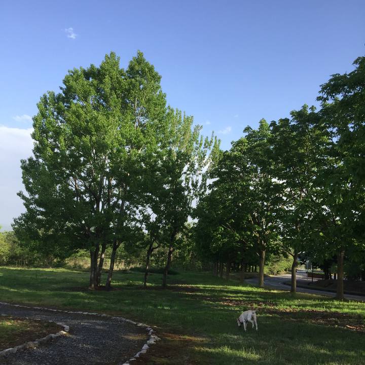 3eba2bb6 2f74 4d25 8a1b c6791deadeb4