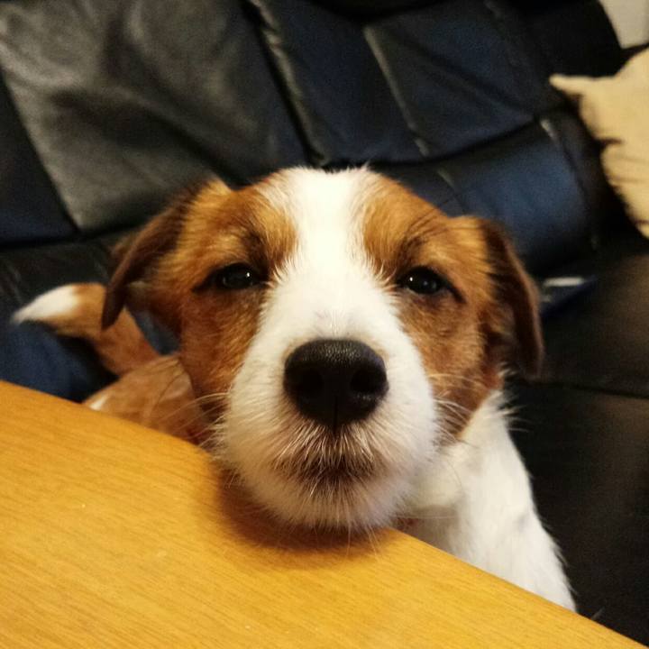 3eba7801 6956 4f7a 80ac deae21ac4633