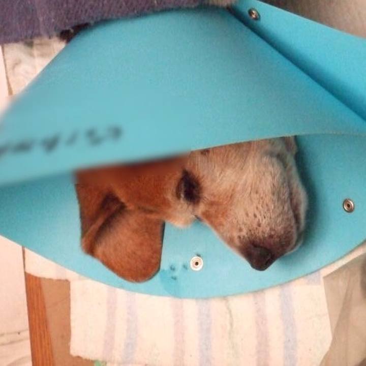 3ebad916 83fb 4745 89ac 2c7cdf92c654